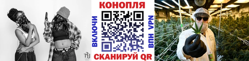 Купить наркоту Моздок APVP  Меф мяу мяу  ГАШ 