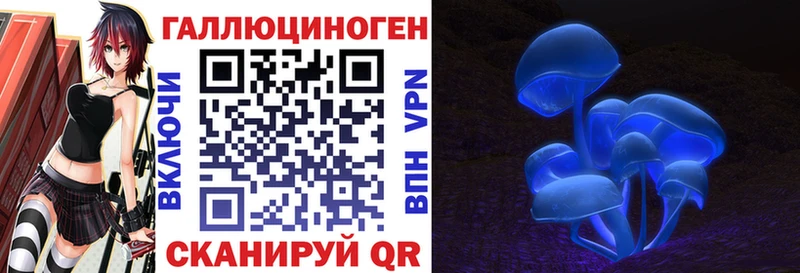 купить наркотики цена  Моздок  Галлюциногенные грибы Magic Shrooms 