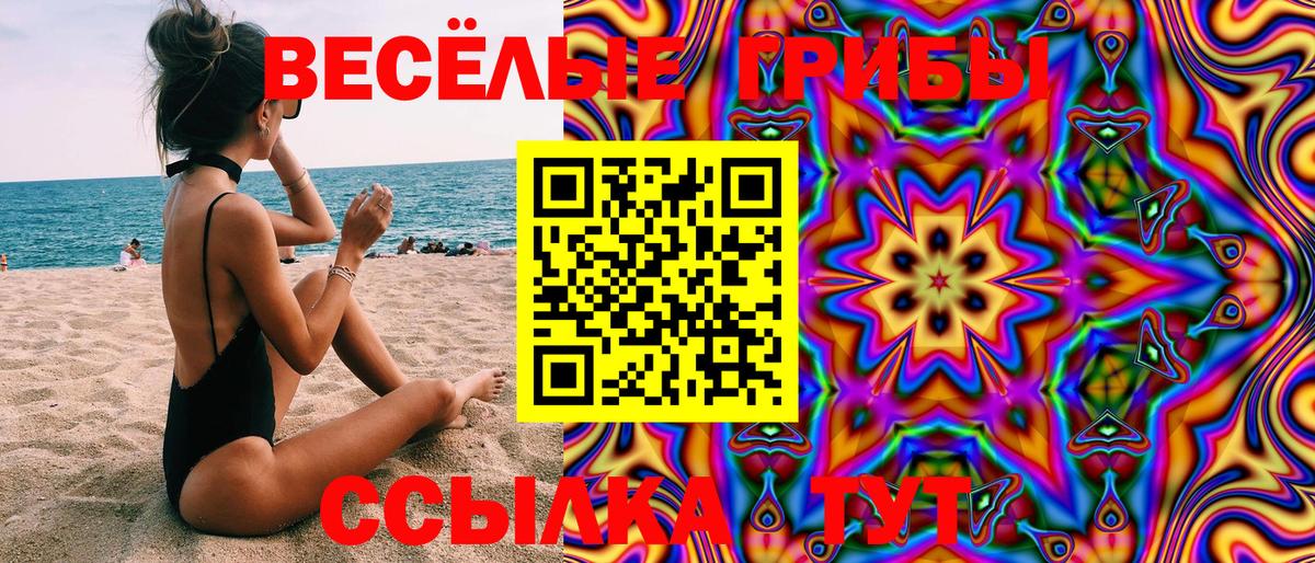 Моздок  Псилоцибиновые грибы Cubensis  купить наркотики цена  Вход с VPN 